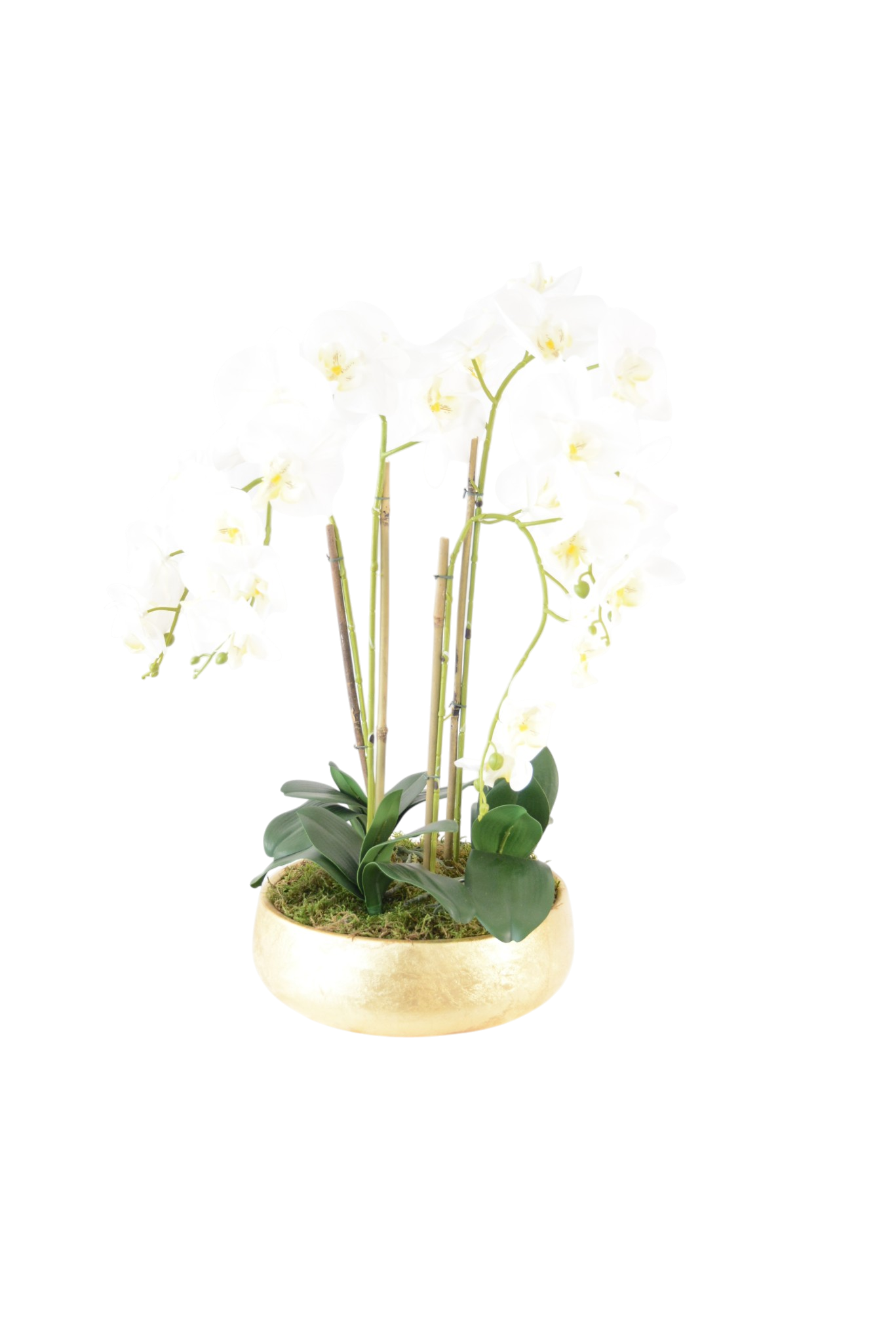 104 Orquídea Phalaenopsis Branca em Vaso Dourado - Image 1