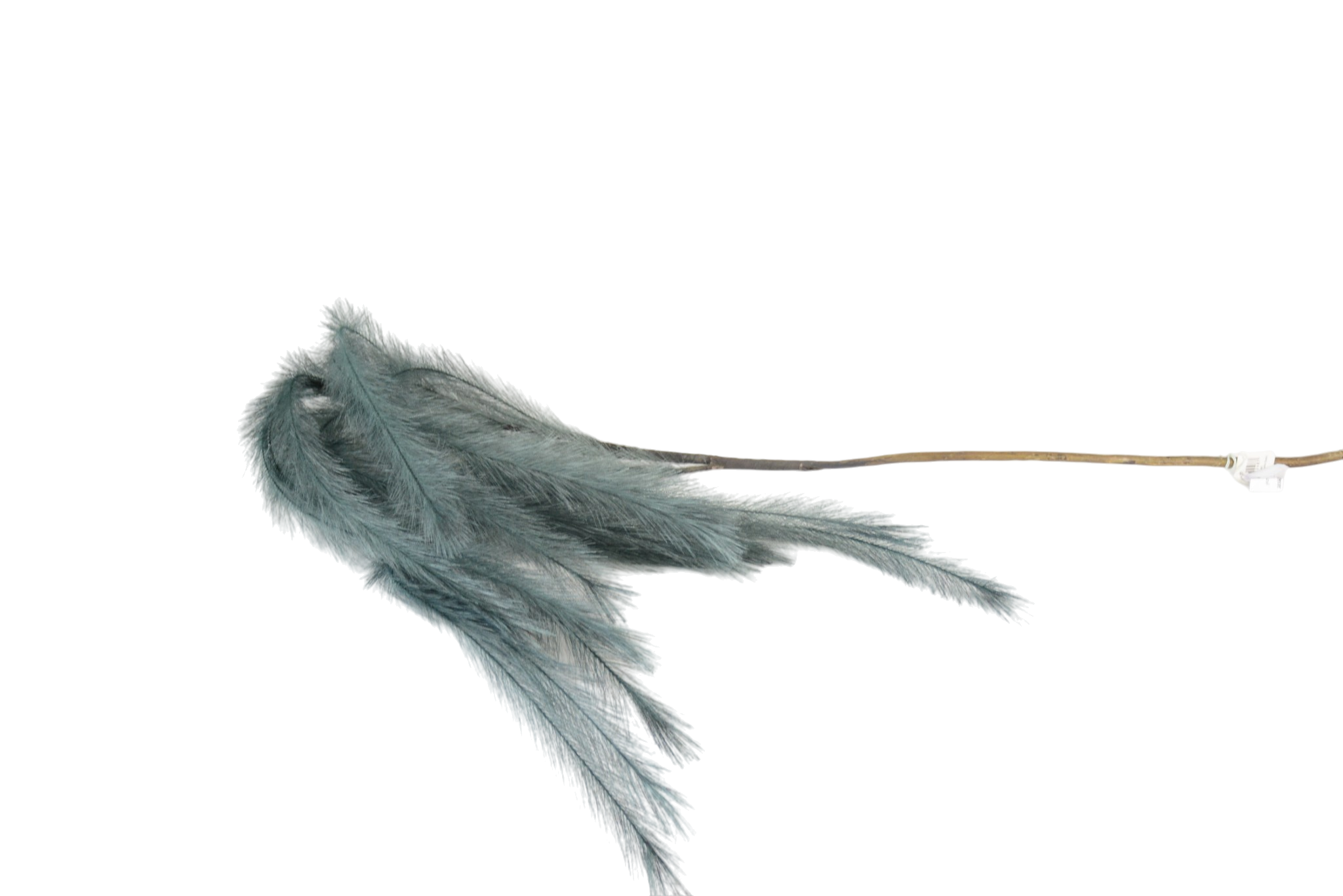 427 Hastes de Pampas Grass e Plumas Secas (Boho Chic) - Image 1