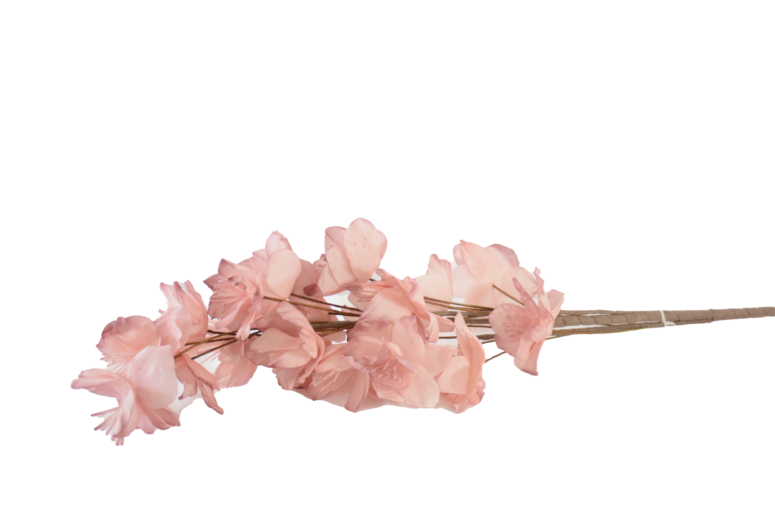 449 Ramos Silvestres, Espigas e Flores de Campo (Rustic & Field Flowers) - Image 1