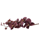 Hastes de Orquídeas Artificiais Premium (Luxury Florals)