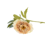 Botões de Rosas, Peónias e Flores Clássicas Solitárias