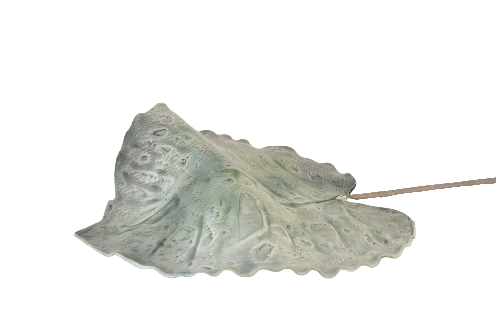 494 Folhagens, Ramos Verdes e Elementos Botânicos Orgânicos - Image 1