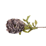 Flores de Globo e Hortênsias Volumosas (Statement Blooms)
