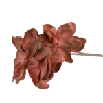 Botões de Rosas, Peónias e Flores Clássicas Solitárias