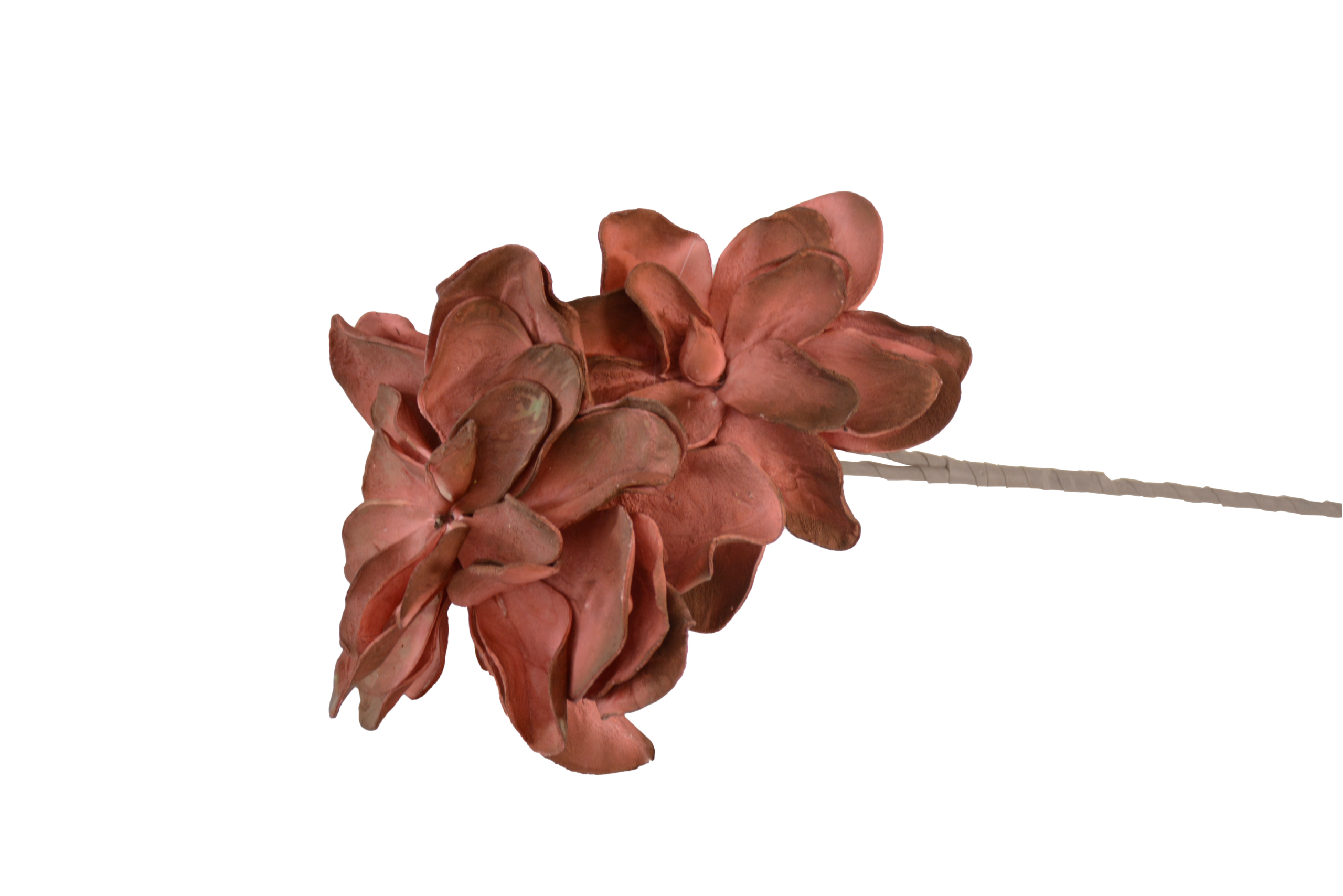 519 Botões de Rosas, Peónias e Flores Clássicas Solitárias - Image 1