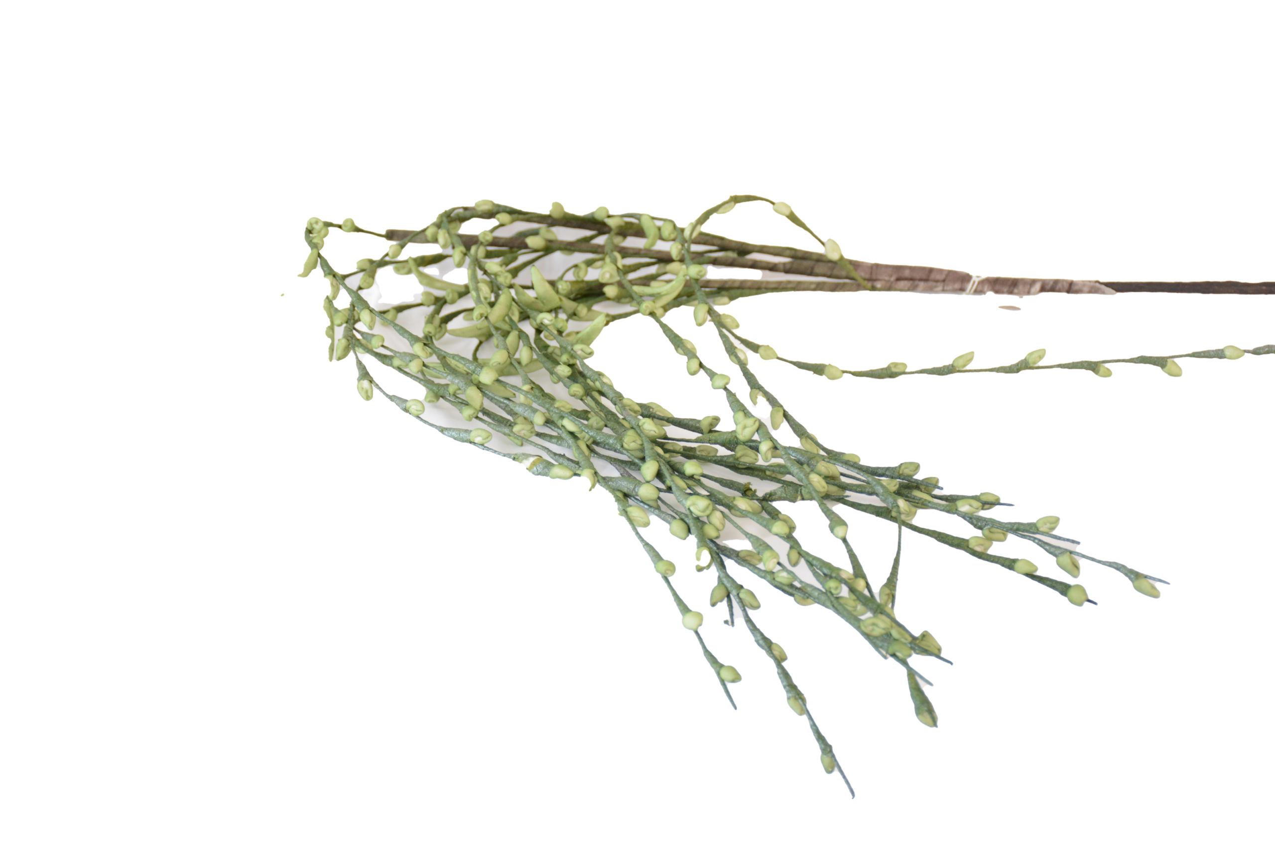 524 Folhagens, Ramos Verdes e Elementos Botânicos Orgânicos - Image 1