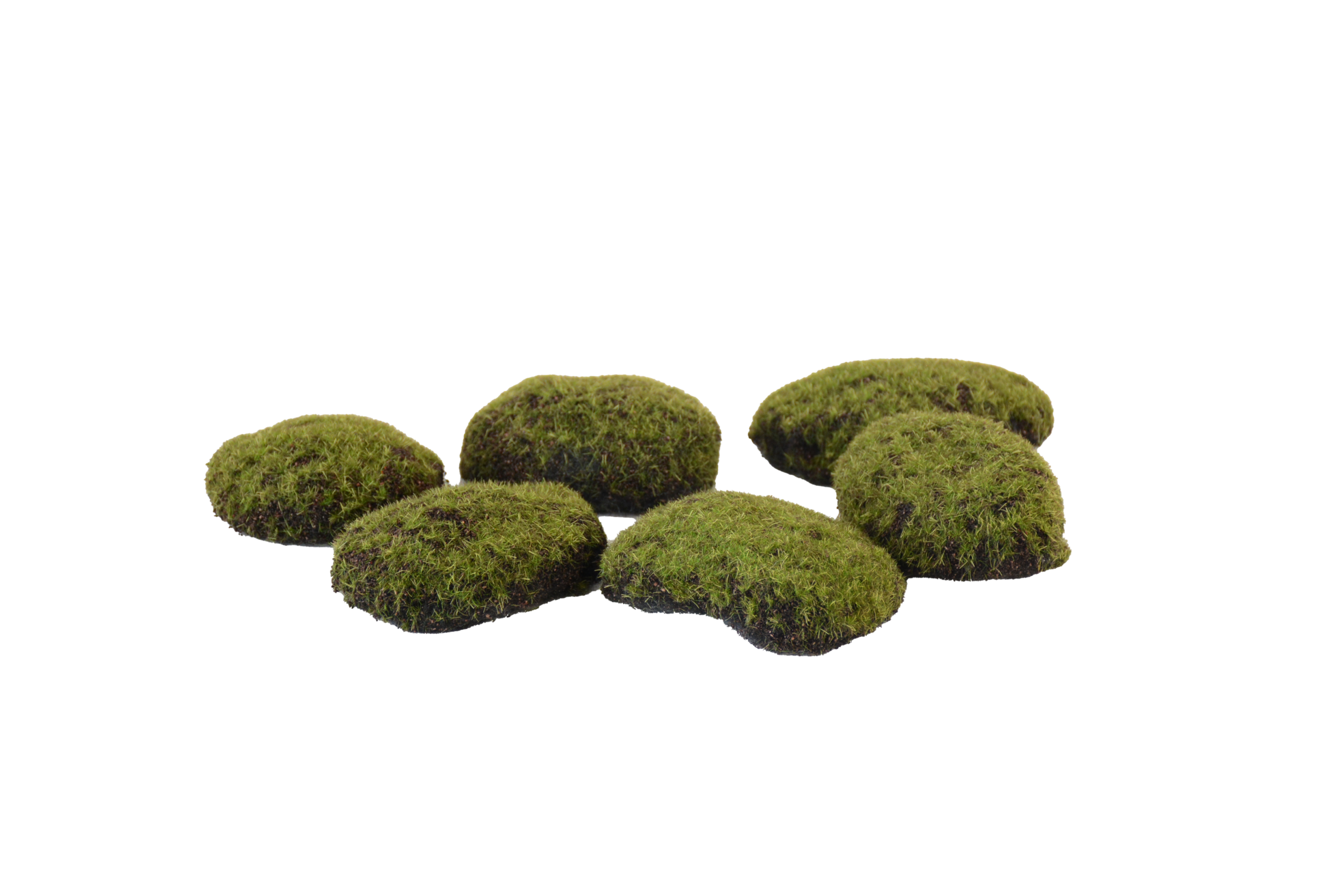 543 Folhagens, Ramos Verdes e Elementos Botânicos Orgânicos - Image 1
