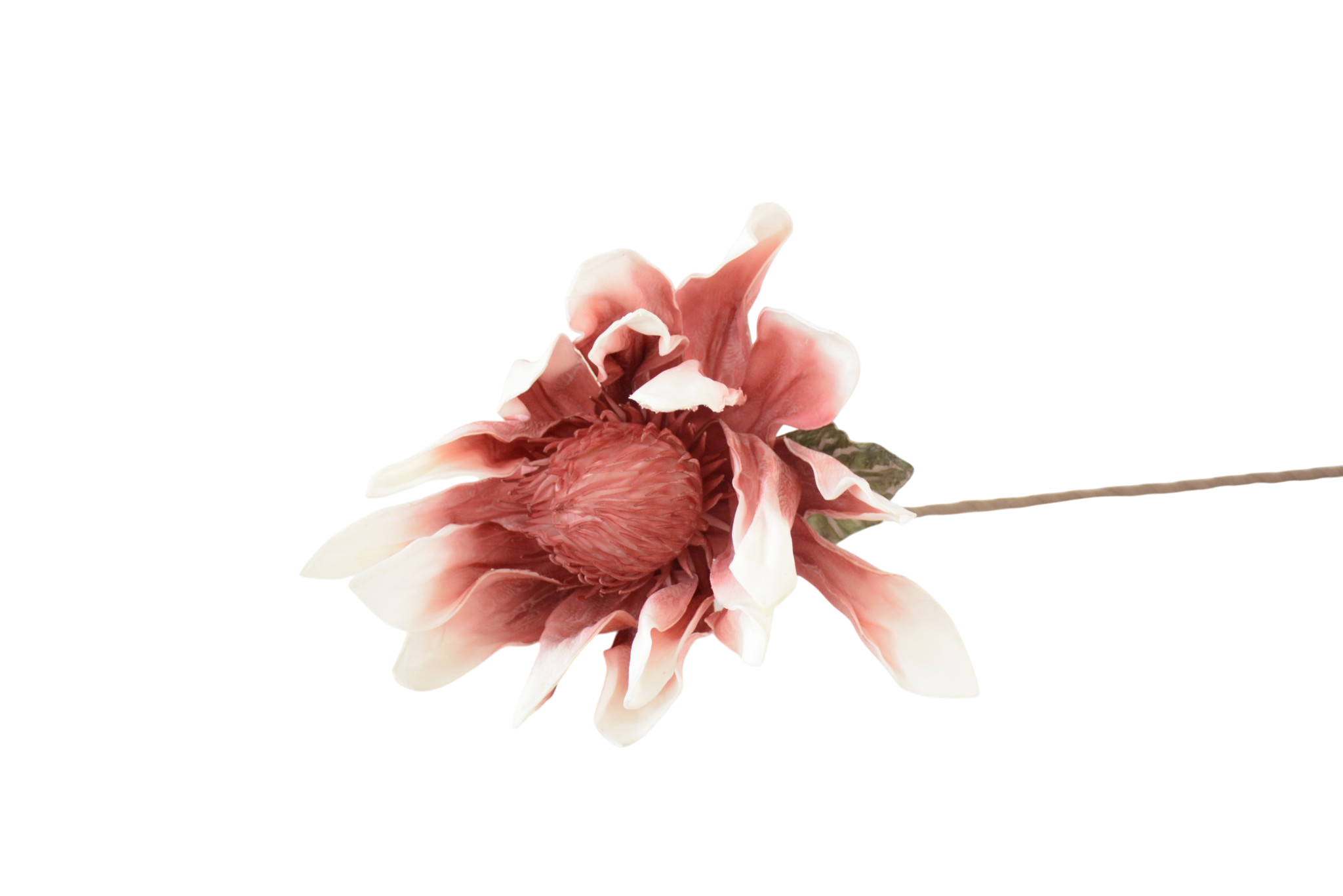 545 Botões de Rosas, Peónias e Flores Clássicas Solitárias - Image 1