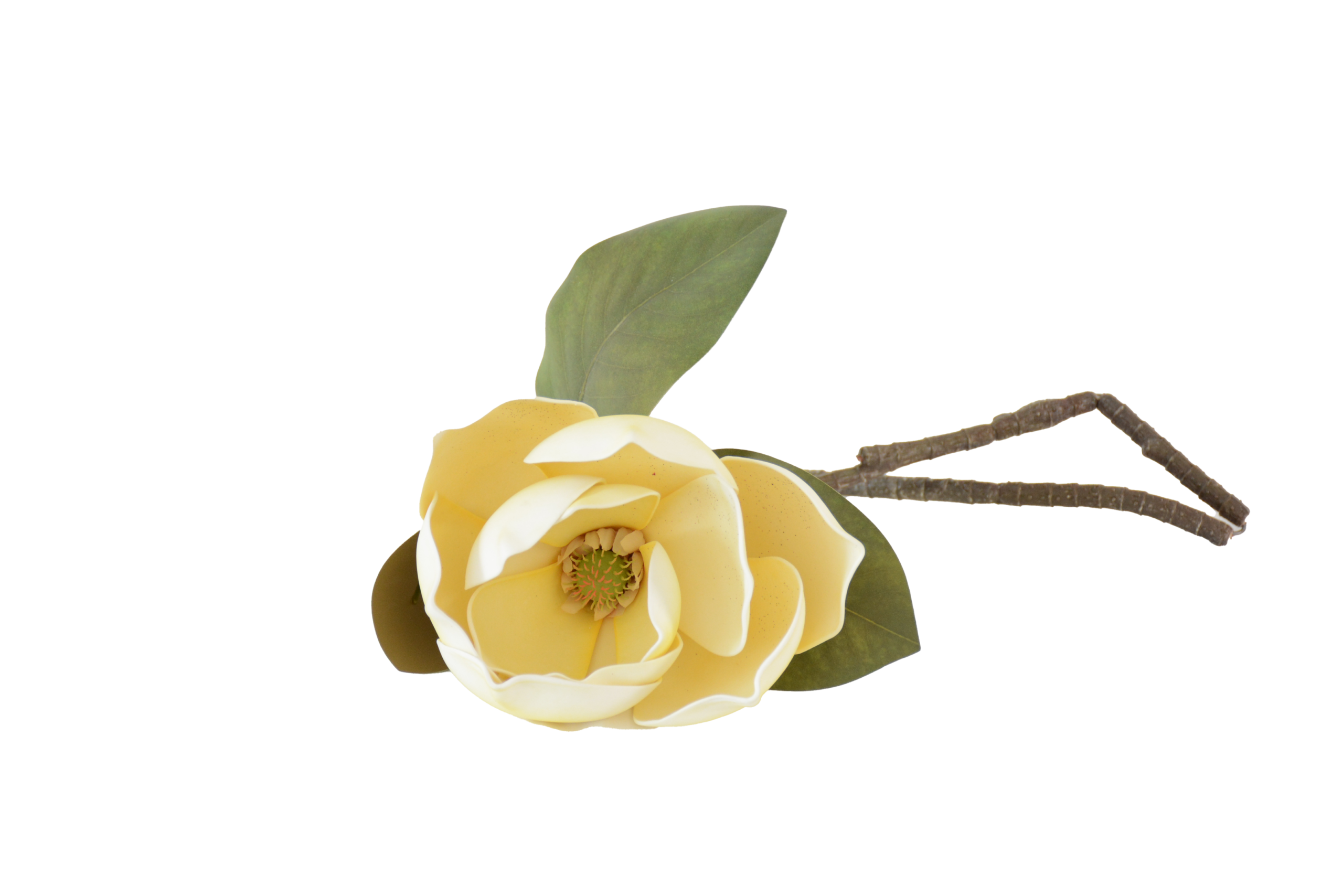 548 Botões de Rosas, Peónias e Flores Clássicas Solitárias - Image 1