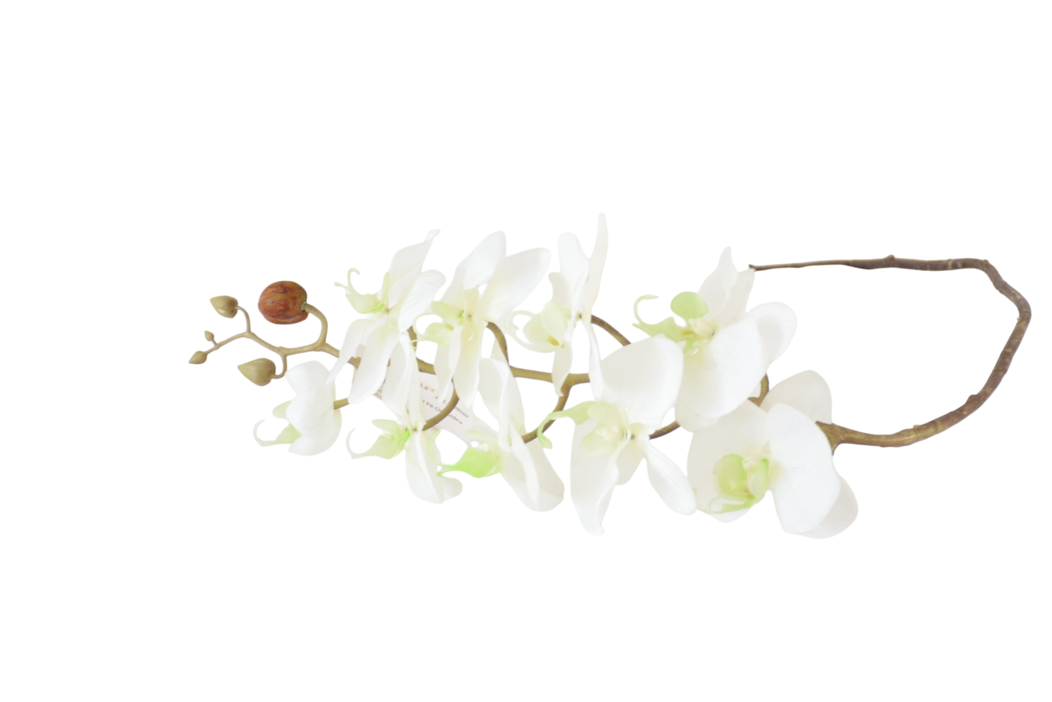 555 Hastes de Orquídeas Artificiais Premium (Luxury Florals) - Image 1