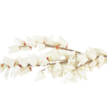 Ramos Silvestres, Espigas e Flores de Campo (Rustic & Field Flowers)