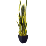 Planta Artificial Espada de São Jorge em Vaso Preto
